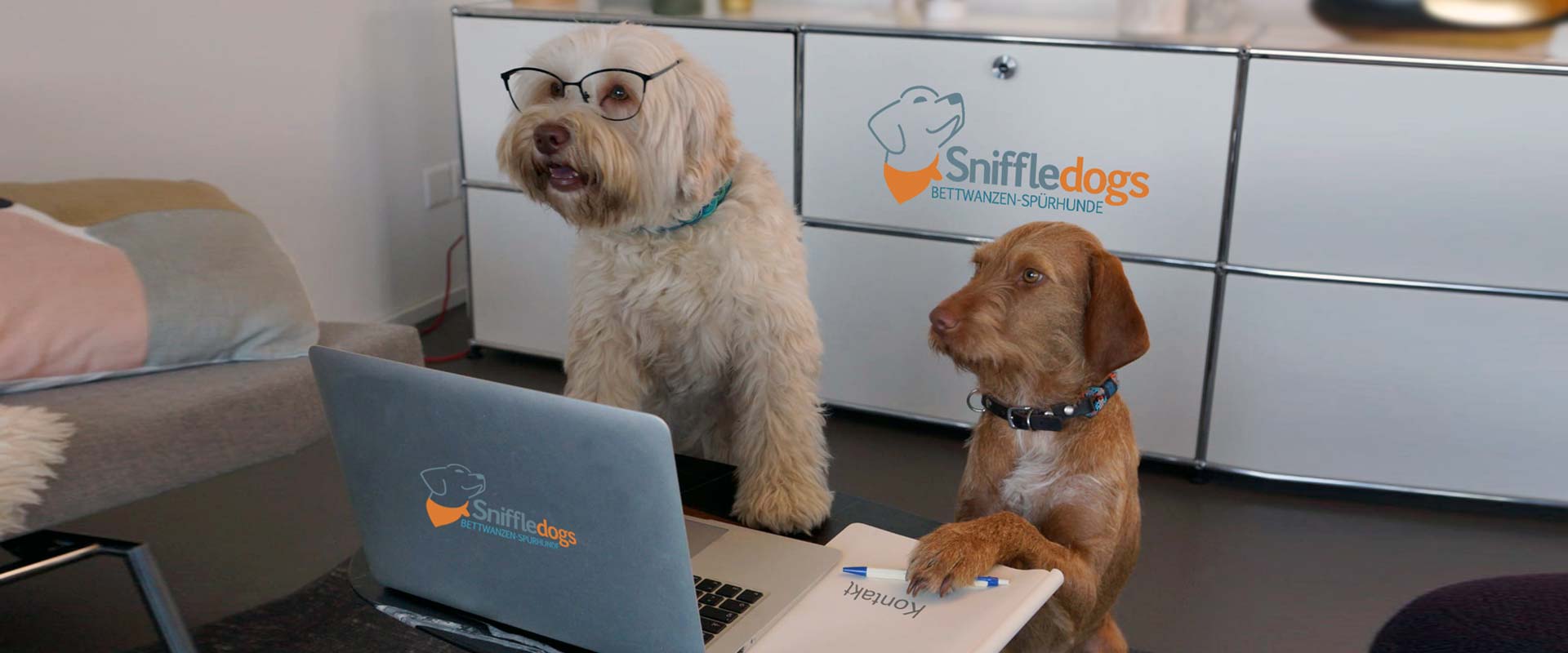 SniffleDogs