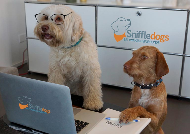 SniffleDogs
